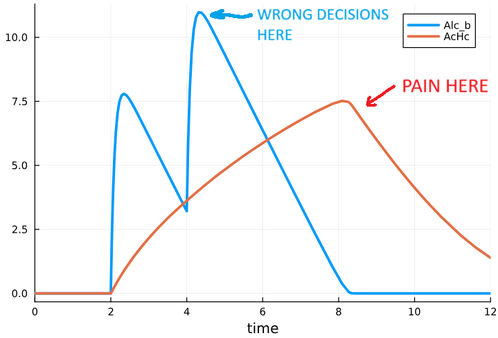 Alcohol metabolism simulation results